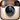 instagram small