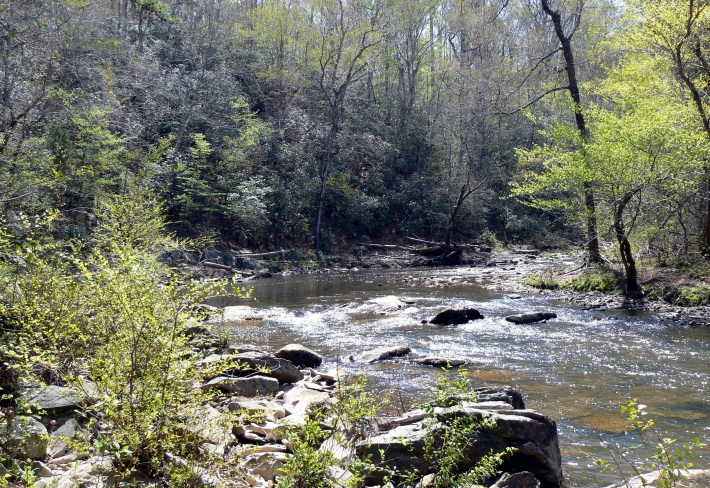 Little River Matthews Tract