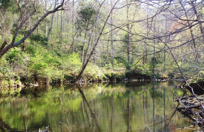 Flat River