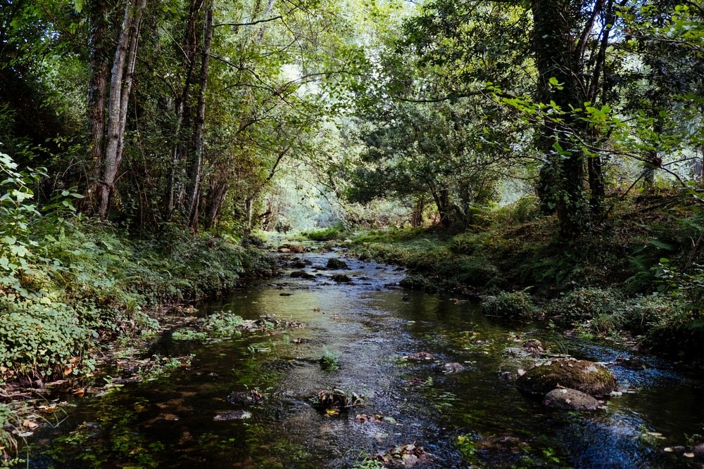 stream1