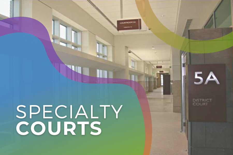 Specialty Courts Home Banner