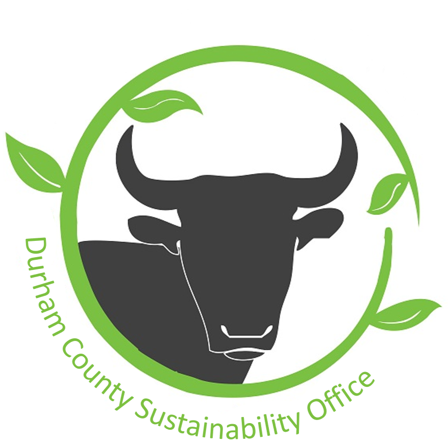 DCSO Logo