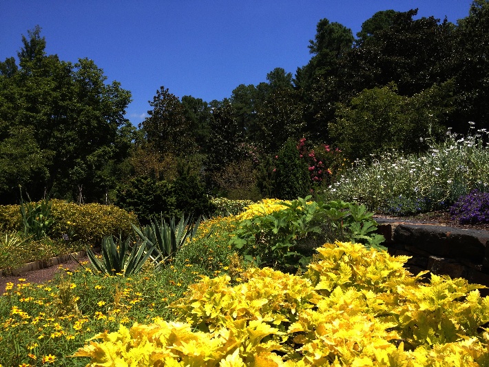 Duke Garden Flowers