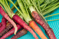 Durham Community Garden Vegetables