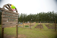 Durham Community Garden