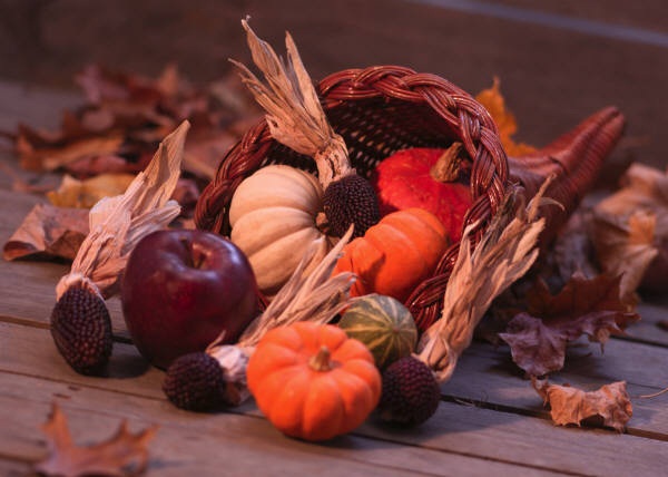 harvest